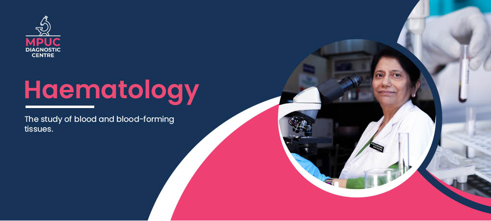 Haematology Lab in Saharanpur